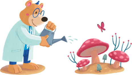 About Illustration